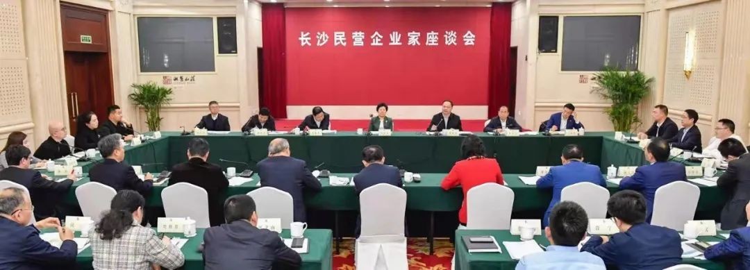 何清华参与长沙民营企业家座谈会