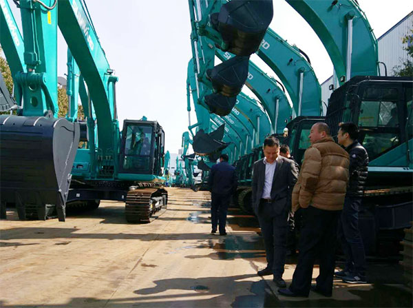 快来看，快来看，这里有一群绿精灵