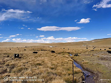 心系k豆钱包情，追梦阿里行！