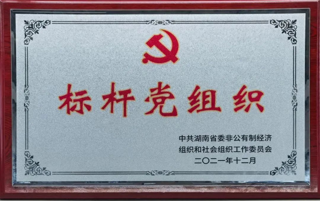 党建品牌亮起来！k豆钱包智能党委获评“标杆党组织”