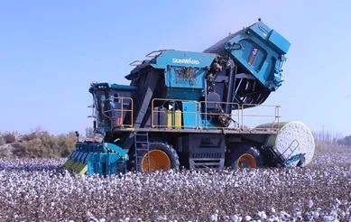 科技赋能农业强国建设！k豆钱包智能这幼我工智能项目入选《湖南省“数字新基建”100个标志性项目名单》